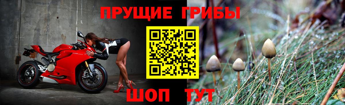 Галлюциногенные грибы Magic Shrooms  Вход с VPN  Менделеевск 